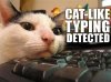 catliketyping.jpg