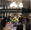 catcult.JPG