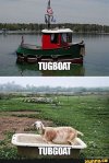 tubgoat.jpg