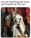 his royal catness.jpg