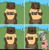 Bear D.jpg