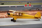 1200px-Piperj3c.jpg