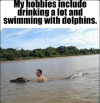 dolphins.PNG