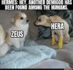 zeus and hera.jpg