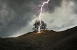 lightning_strike_tree_getty__1_-1.jpg