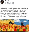 Gummy-Verse.jpg