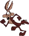 Wile_E_Coyote_300-1-.webp