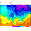 eta30hr_sfc_temp.gif