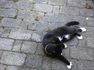 IMG_0107.jpeg