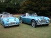 Austin Healey 007.jpg