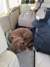 IMG_1469.jpeg