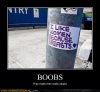 demotivational-posters-boobs1.jpg