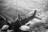 seaplane_1945.jpg