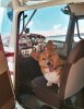 Reilly-Co-Pilot-for-Web.jpg