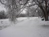 Ice storm Jan 2007 001.jpg