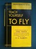 Teach Yourself to Fly.jpg