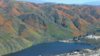 superbloom w.lake corona.jpg