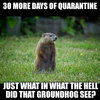 GroundhogQuarantine.jpg