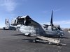 Osprey 1.jpg