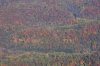 Fall-1108-Flying030.JPG