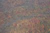 Fall-1108-Flying033.JPG