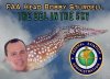 BOBBY STURGELL, FAA EEL IN THE SKY.jpg