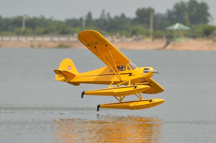 PH160-PIPER-CUB-18.jpg