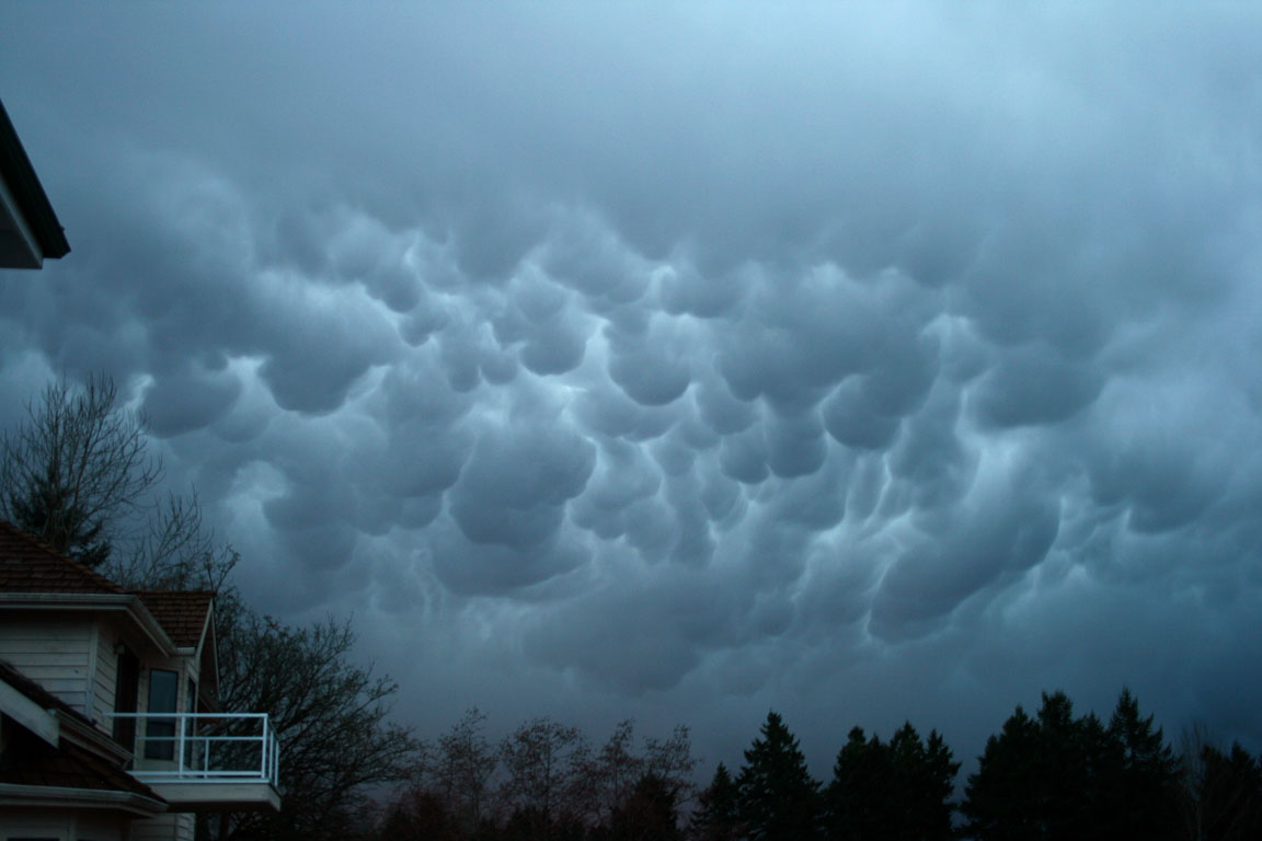 mammatus.jpg