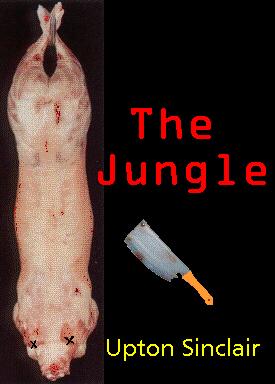 jungle-732997.jpg