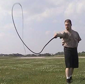 bullwhip2.jpg