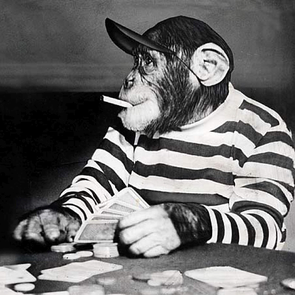 Gambling-Monkey.png