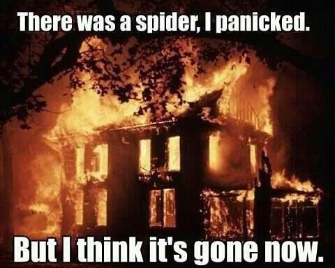 spider-fire.jpg